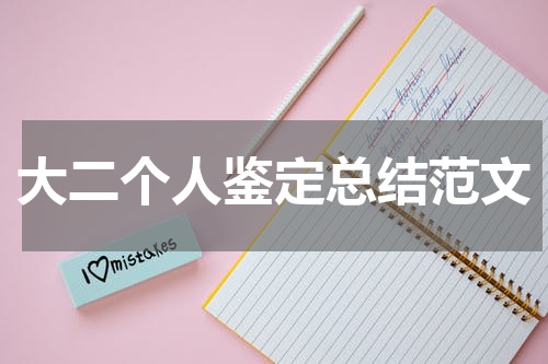 大二个人鉴定总结范文