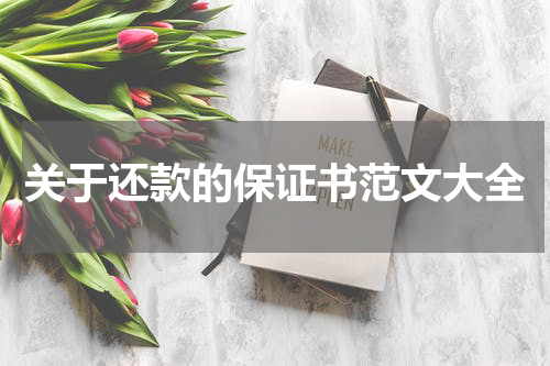 关于还款的保证书范文大全