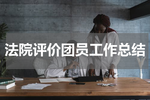 法院评价团员工作总结
