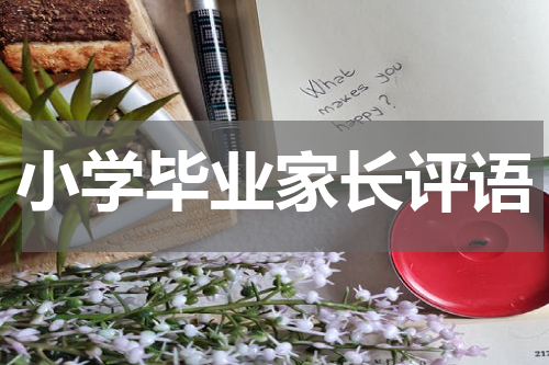 小学毕业家长评语