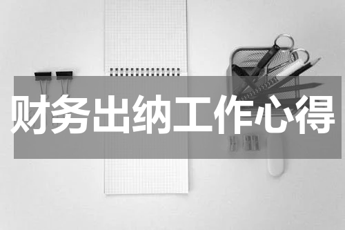 财务出纳工作心得