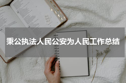 秉公执法人民公安为人民工作总结