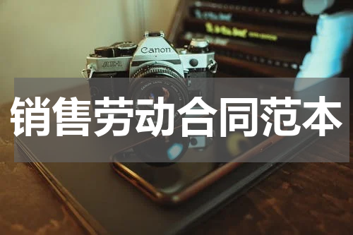 销售劳动合同范本
