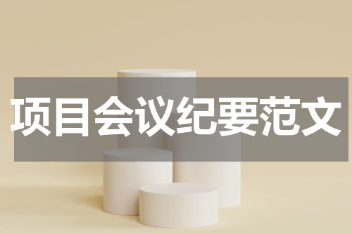 项目会议纪要范文