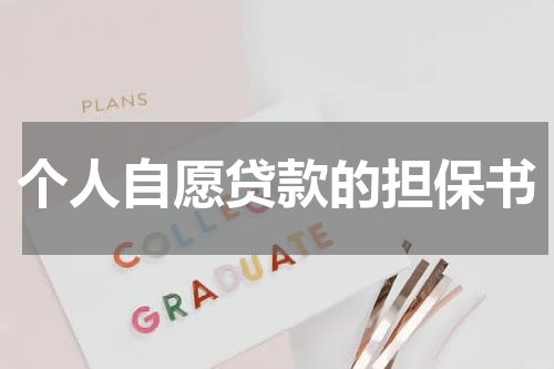 个人自愿贷款的担保书