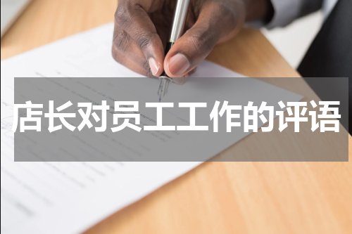 店长对员工工作的评语