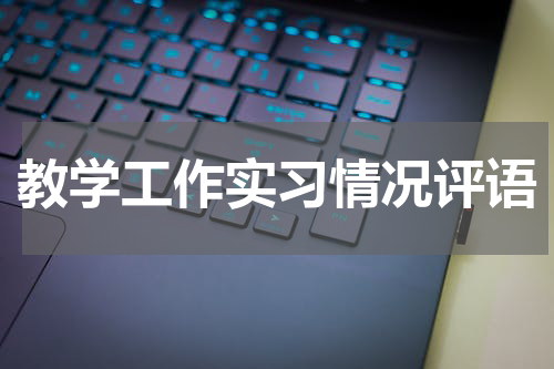 教学工作实习情况评语