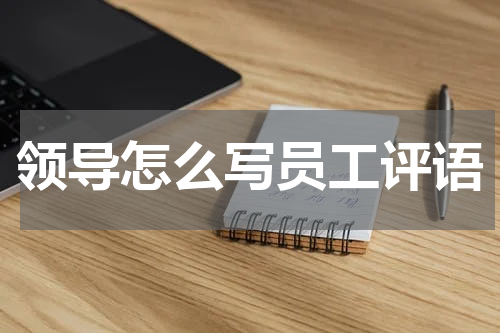 领导怎么写员工评语