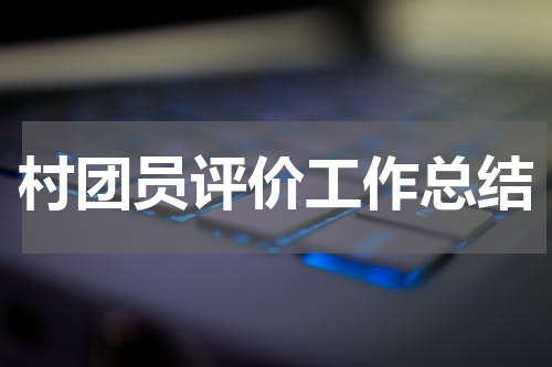 村团员评价工作总结