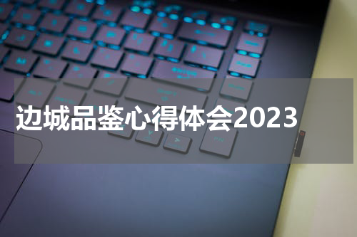 边城品鉴心得体会2023