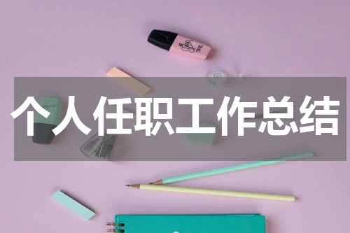 个人任职工作总结