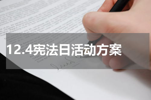 12.4宪法日活动方案