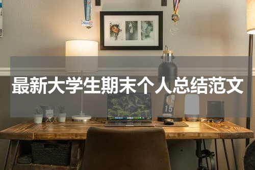 最新大学生期末个人总结范文