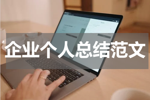 企业个人总结范文