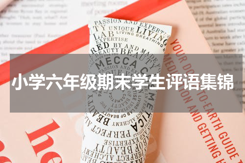 小学六年级期末学生评语集锦
