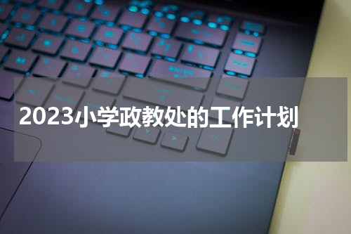 2023小学政教处的工作计划