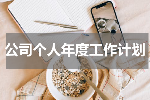 公司个人年度工作计划