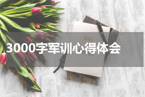 3000字军训心得体会