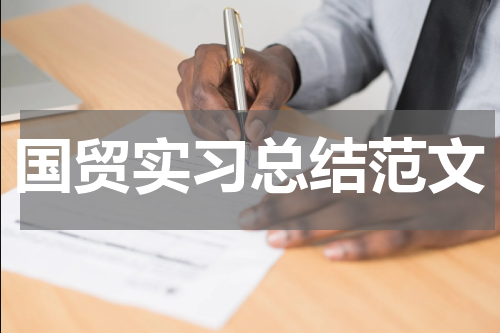 国贸实习总结范文