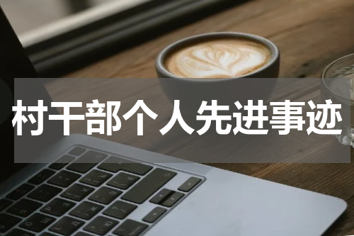 村干部个人先进事迹