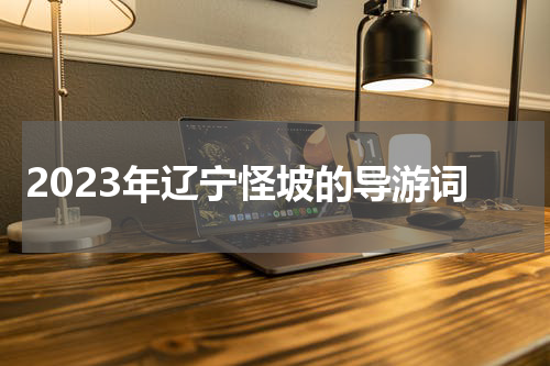 2023年辽宁怪坡的导游词