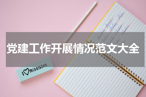 党建工作开展情况范文大全