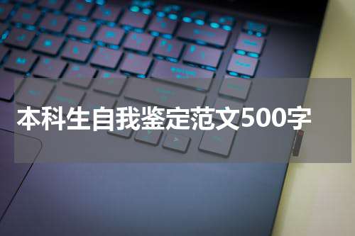 本科生自我鉴定范文500字