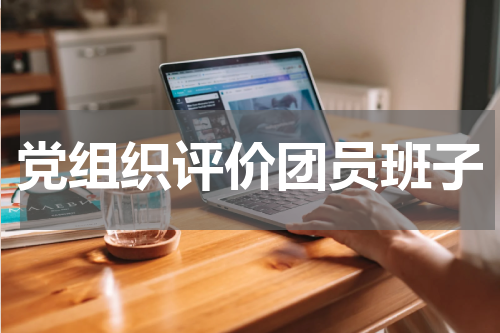 党组织评价团员班子