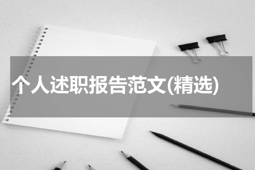 个人述职报告范文(精选)