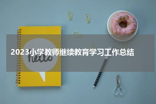2023小学教师继续教育学习工作总结