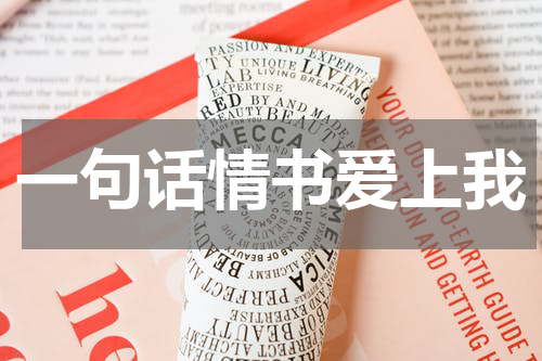 一句话情书爱上我