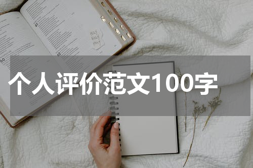 个人评价范文100字