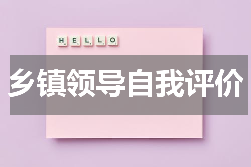 乡镇领导自我评价