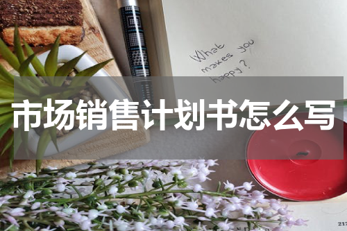 市场销售计划书怎么写
