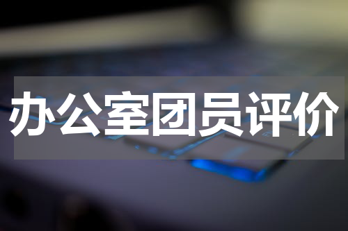 办公室团员评价