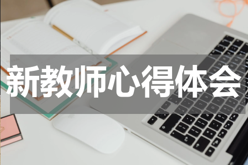新教师心得体会