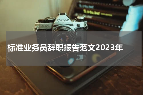 标准业务员辞职报告范文2023年