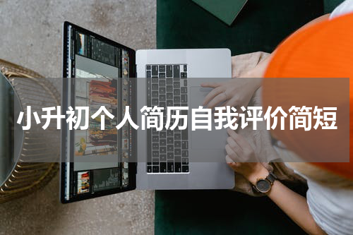小升初个人简历自我评价简短