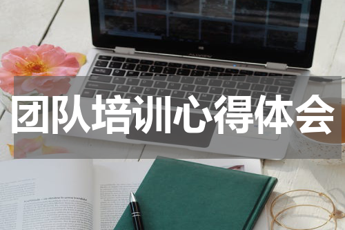 团队培训心得体会
