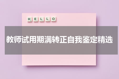 教师试用期满转正自我鉴定精选