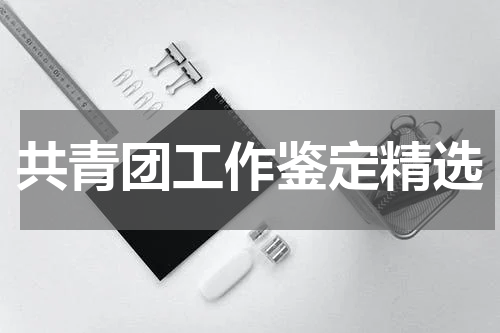 共青团工作鉴定精选