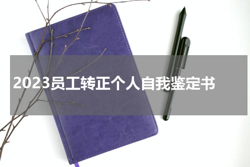 2023员工转正个人自我鉴定书