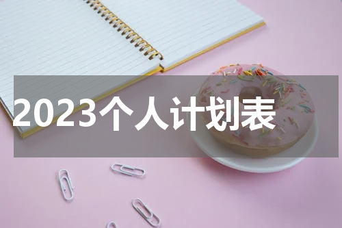 2023个人计划表
