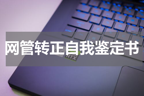 网管转正自我鉴定书