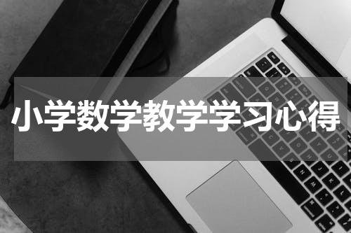 小学数学教学学习心得