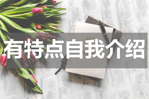 有特点自我介绍