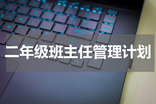 二年级班主任管理计划