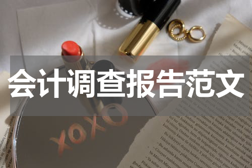 会计调查报告范文