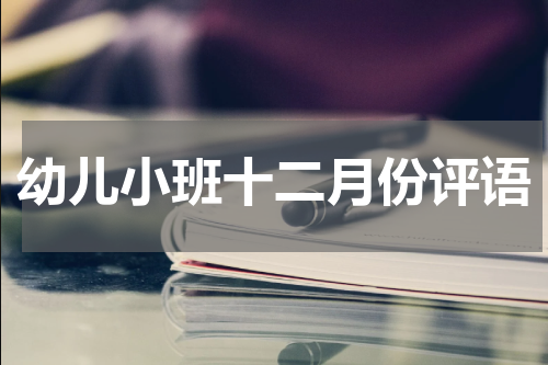 幼儿小班十二月份评语