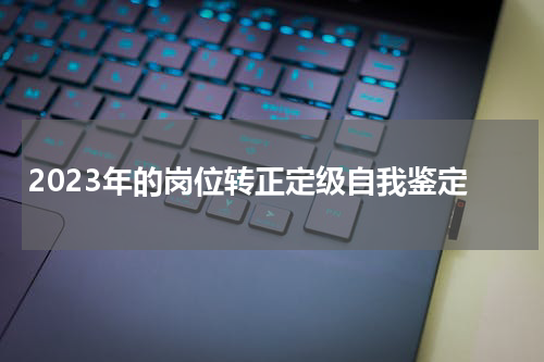 2023年的岗位转正定级自我鉴定
